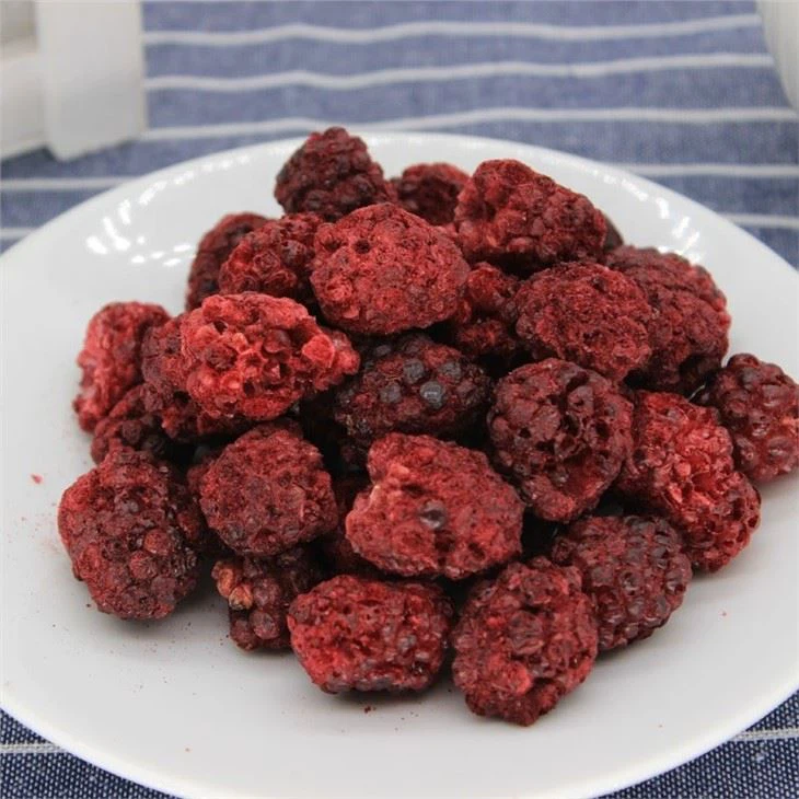 freeze dry blackberries manufacturers
